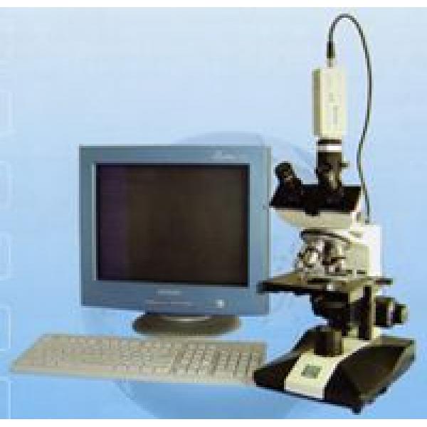 暗场显微镜（40X-1600X）