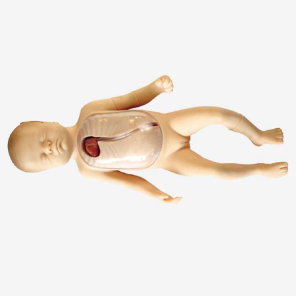 高级新生儿外周中心静脉插管模型