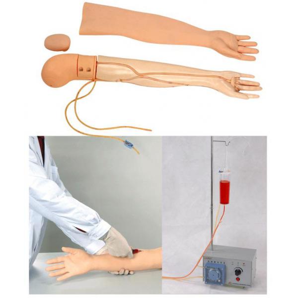 全功能静脉穿刺输液手臂模型