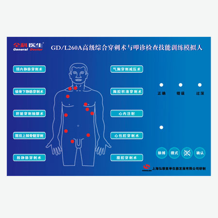 高级综合穿刺术与叩诊检查技能训练模拟人