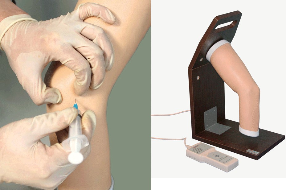 高级电子肘关节腔内注射模型