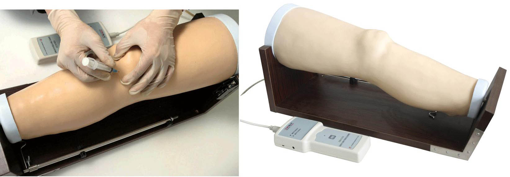 高级电子膝关节腔内注射模型