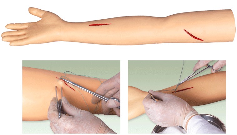 高级外科缝合手臂模型