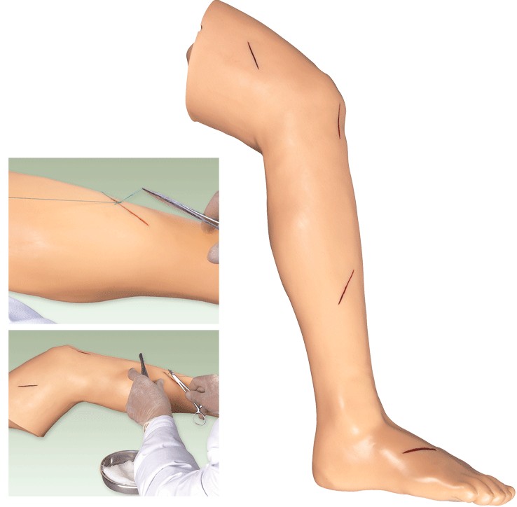 高级外科缝合下肢模型