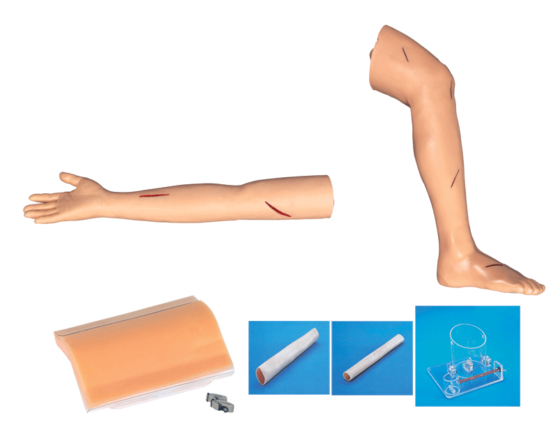 外科综合技能训练综合模型