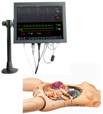 高智能数字化分娩与母子急救模拟人