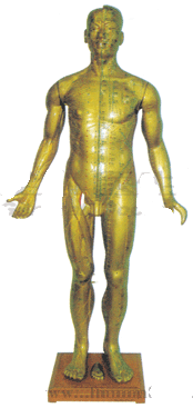针灸铜人 高188cm