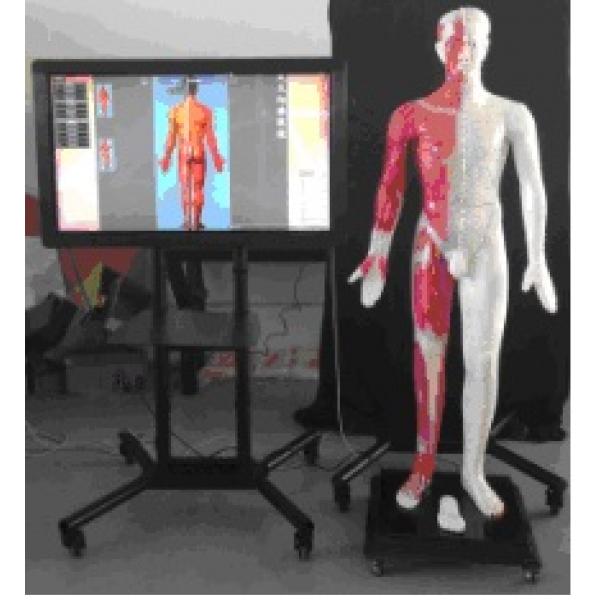 55寸多媒体人体针灸穴交互数字平台